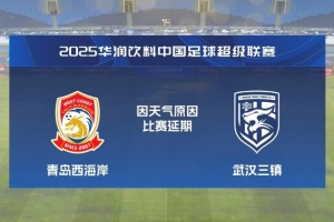 三镇球迷不满比赛延期：上半场逆风吃亏了，这压根就不应该开始