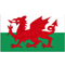 英格兰U19队徽