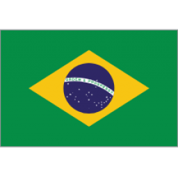 芝加哥天空图标