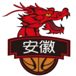 安徽文一队徽