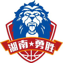 长沙勇胜队徽
