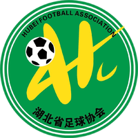 湖北U20队徽