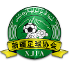 新疆U20队徽