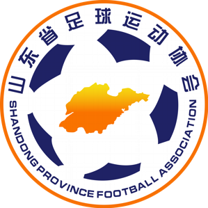山东U18队徽
