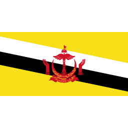 文莱U23队徽