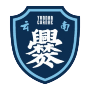 云南爨合队徽