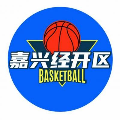 嘉兴经开区队队徽