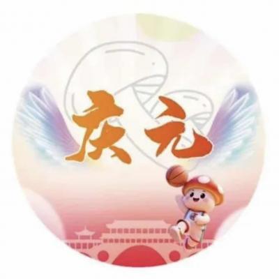庆元队队徽
