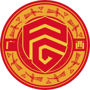 广西平果U21队徽