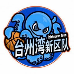 台州湾新区队队徽