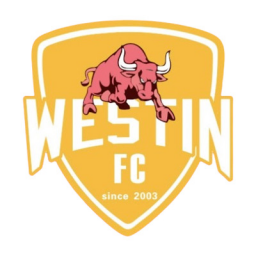 佛山女足队徽