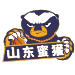 山东蜜獾队徽