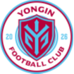 龙仁FC图标
