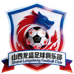 山西龙盛队徽
