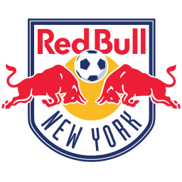 纽约红牛二队队徽