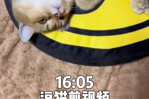 沈云怡作为新晋美女解说员是真好看呀~在解说里是女神级别了🥰