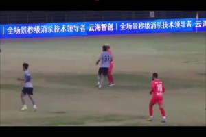 西部杯发生大规模冲前，场上球员就已经发生肢体冲突了🫠