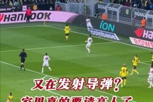谁又在球场发射导弹？看台球迷捡球精准降落一发入魂！