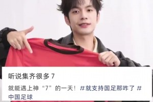 张颜齐集齐七个7召唤出武磊👀