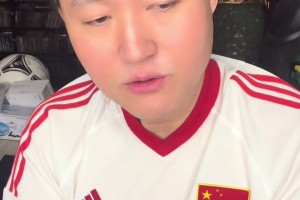 王涛：再见了世界杯！又要等四年这辈子还能看到中国进入世界杯吗