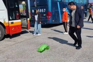 踢乌龟气球！泰山球迷：录上了吗？😅