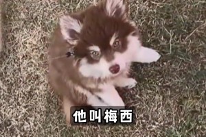 温格：很遗憾我职业生涯开始时没签下C罗，生涯结尾时没签下坎特