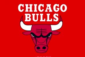 最喜欢哪个？NBA经典赛场原声！你爱的球队都有 一次听到爽