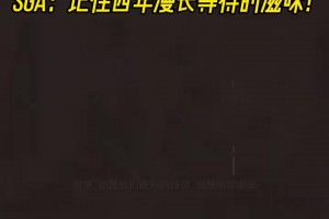 季后赛每轮都清算了国家队队友！奥运会淘汰时，SGA队内的发言！