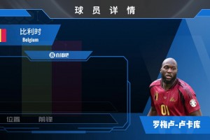 球员集锦：身体素质强悍 门前跑位一流的冲击型前锋