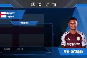 沃特金斯集锦：进球手段多样 跑位灵动的强力前锋