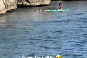 😨骑士管理层心头一惊！米切尔海边玩耍从数米高跳进海里