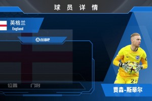 斯蒂尔球员集锦：准确的位置判断 扎实的门线技术
