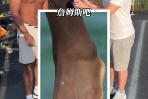视频会引起不适！职业球员的代价，这竟然是詹姆斯和哈登的脚？