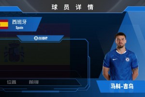 埃瓦尼尔森球员集锦：机动性强、门前抢点能力出色的前锋