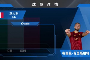 克里斯坦特球员集锦：组织能力上佳 传球意识出色的中场球员