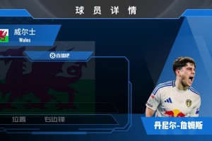 梅斯利耶球员集锦：稳定性成疑 但出击和反应顶尖的门将