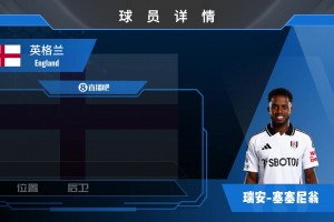 贝拉尔迪球员集锦：边路中路皆可踢的前场攻击手