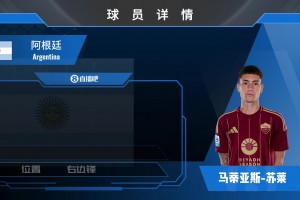 苏莱球员集锦：潜力十足的阿根廷中场