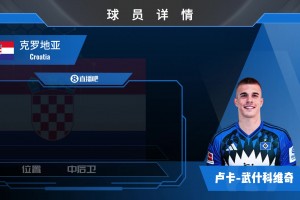 热刺外租小将武什科维奇集锦：上抢生猛的空霸潜力股！